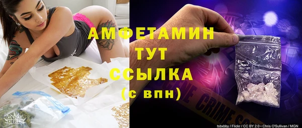 гидра Медвежьегорск